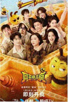 海岸线综艺季画面