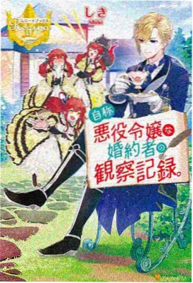 星屑旅团动画画面
